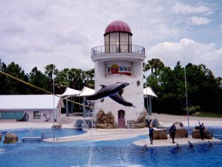 Sea World